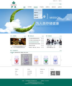 企業網站設計 構建數字時代的品牌門面與業務引擎